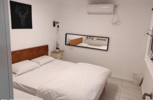 Beer Tuvia Apartment | קסם הרימון - 4 צימרים מושלמים עם בריכה וג'קוזי