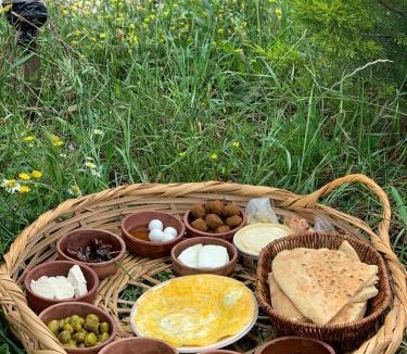 Ajloun Cabin | أكواخ الهدهد