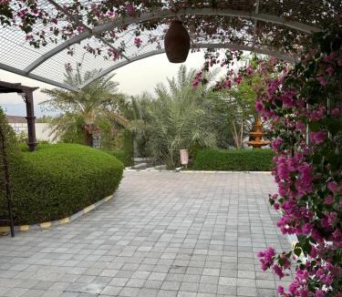 Al Hamra Ski Chalet | استراحة الأسطورة AlAstura rest