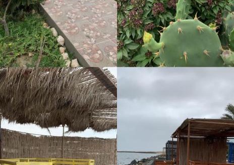Masirah Hotel | استراحة نادي اورجان Orjan Guest House