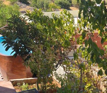 Ajloun Governorate House | بيت اطلالة الوادي