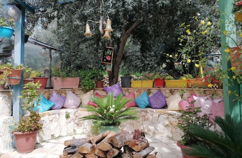 Jerash Apartment | بيت الطبيعة nature house