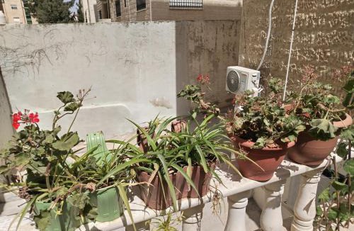 Al Jubeiha Apartment | شقه بغرفه وصاله وبلكونه بدون شراكة