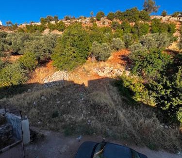 Ajloun Apartment | شقه مفروشه ب أحدث الأثاث ومحيطه ب الأشجار من كل الجوانب وقريبه من قلعه عجلون والتلفريك