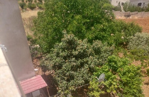 Ajloun Apartment | شقه مفروشه ب أحدث الأثاث ومحيطه ب الأشجار من كل الجوانب وقريبه من قلعه عجلون والتلفريك