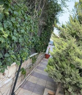 Irbid Apartment | شقه مفروشه مع حديقه اربد بجانب فندق فلامنجو ومدارس دار العلوم