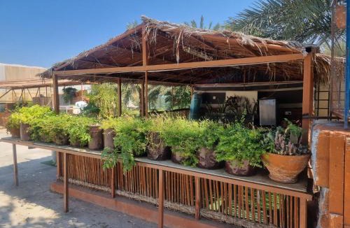 Bilad Manah House | مزرعة نحل العسل