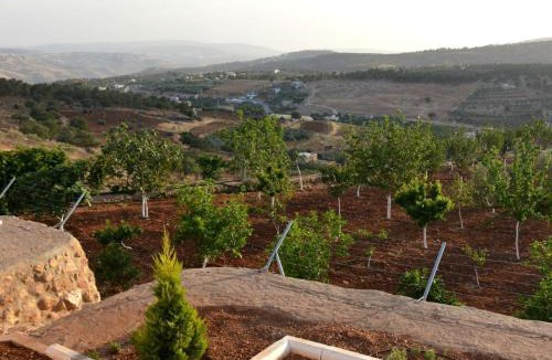 Jerash Villa | مزرعة و شاليه فيلا قلب جرش