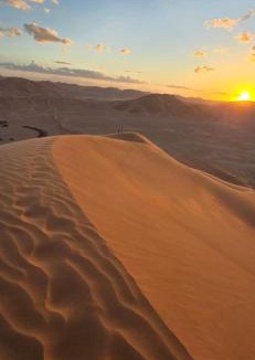 Dhofar Governorate Other | AArabian Sand Camp Empty Quater Salalah Oman