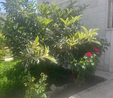Ajloun House | Ajloun Rest House