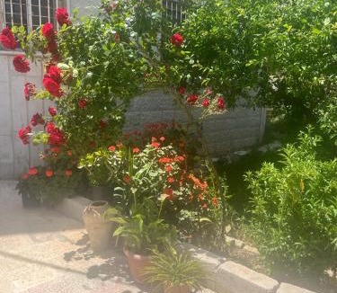 Ajloun House | Ajloun Rest House