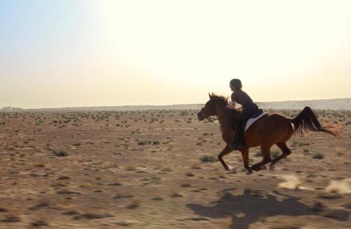 Murqquab Hotel | Al Maha, a Luxury Collection Desert Resort & Spa, Dubai
