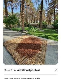 Ibra House | Al Raudha Serene