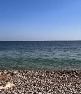 Tiwi House | Al Tasnem Beach