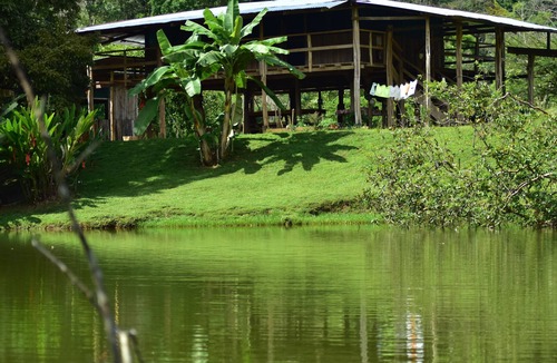 Puerto Jimenez House | Albergue La Laguna Corcovado Park