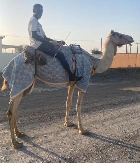 Ras Al Khaimah House | Alharamil Retreat