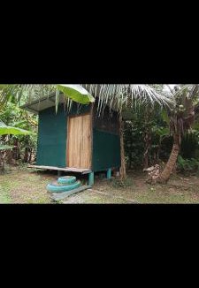 Cahuita Cabin | Alouatta Lodge and Canopy
