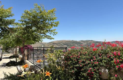 Majdal al-Shams Cabin | Alpinia