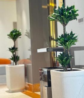 Barka Hotel | Amaris Hotel