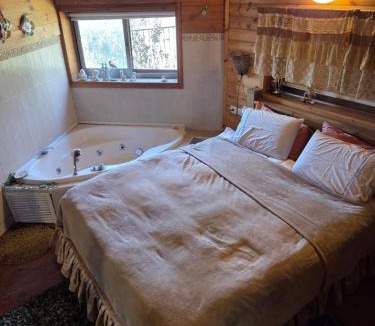 Metula Apartment | Among the cherry trees B&B 6 - Nahal Dan