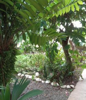 Puerto Viejo de Talamanca Apartment | Apartamento Cris