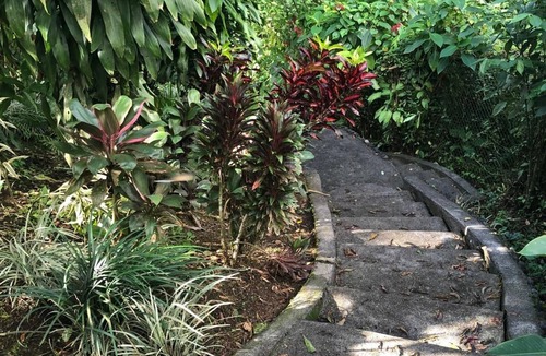 Arenal House | Arenal Rainforest Retreat with Hot Tub, Lake View: a Birdwatcher's Paradise