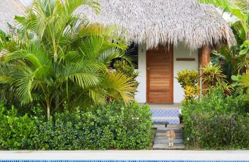 Jiquelite Apartment | Banana Tree Popoyo