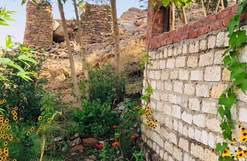 Al Karnak House | Bastet House & Haraka Baraka botanical Garden