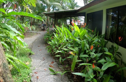 Dominical Cottage | Beachfront Jungle Casita Surf, Sunsets & Privacy 20 steps to OCEAN