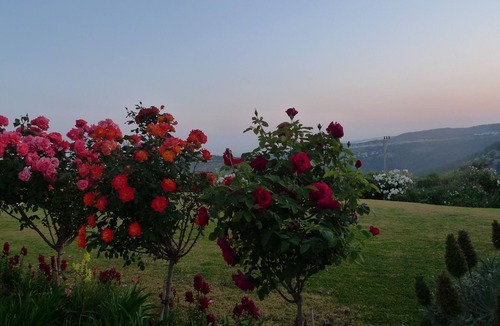 Mateh Yehuda House | Beautiful estate with large garden and swimming pool 15 minutes from Jerusalem