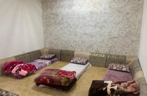 Wadi Rum Apartment | Bedouin experiences
