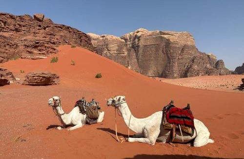 Wadi Rum Other | Bedouin Holidays Camp and Jeep Tours