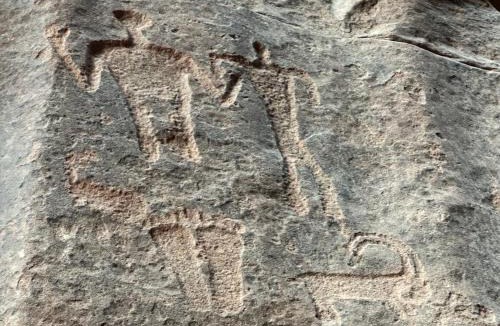 Wadi Rum Other | Bedouin Holidays Camp and Jeep Tours