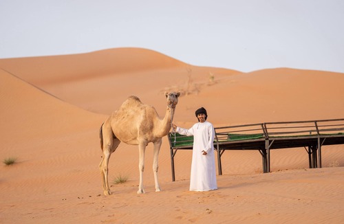 Al Wasil Hotel | Bedouin Nighets Camp
