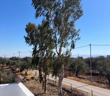 Umm Qais House | Beit Philodemus 2 - Yasmin