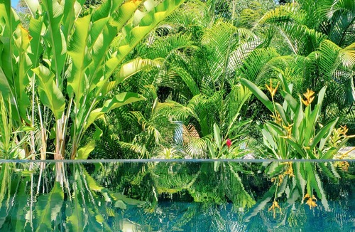 Cocles Villa | Brand New fully equipped Caribbean Villa with exclusive pool