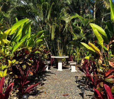 Penas Blancas Apartment | Cabañas Río Escondido en La Fortuna