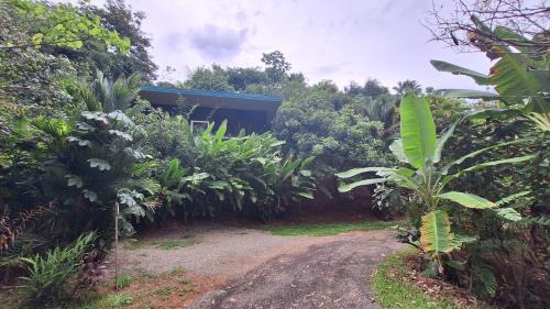 Dominical Apartment | Cabinas fave