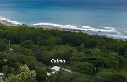Mal Pais Apartment | Calma Apartments Costa Rica