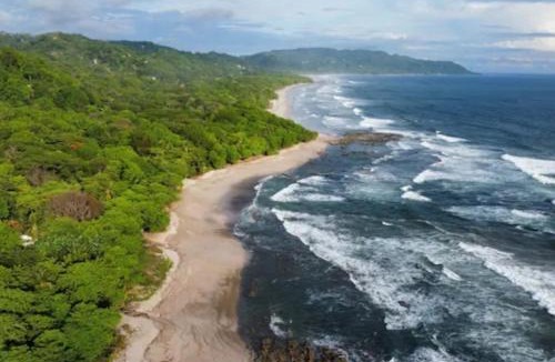 Mal Pais Apartment | Calma Apartments Costa Rica