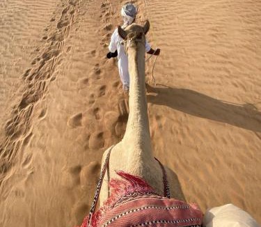 Wadi Rum Other | Camel Riding in Wadi Rum