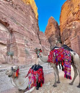 Wadi Rum Bed & Breakfast | Camel riding trip