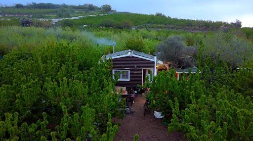 Masade Other | Cantina Cabin's - Think Nature