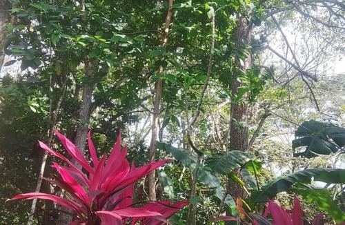 Manzanillo House | Casa Coconana, cozy home near the beach