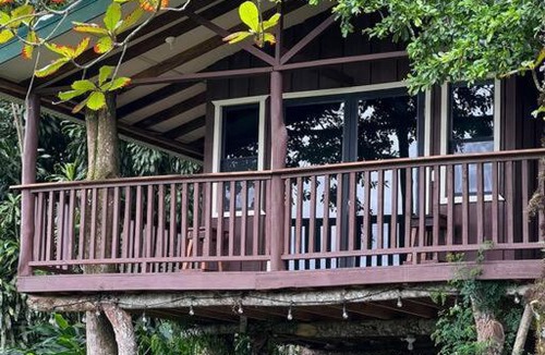 Quebrada La Gamba Ski Chalet | Casa del árbol