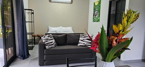 Naranjito Apartment | Casa Eden Near Manuel Antonio