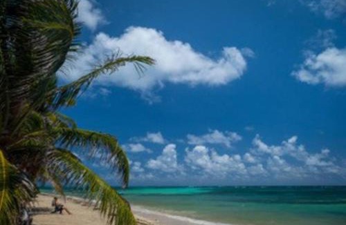 Little Corn Island Apartment | Casa Paraíso - Little Corn Island