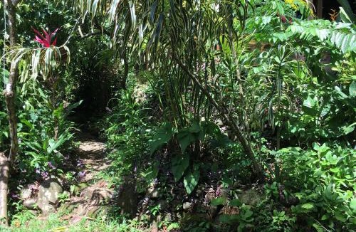 Ballena Hostel | Cascada Verde Eco Lodge & Hostel