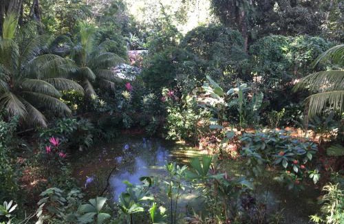 Ballena Hostel | Cascada Verde Eco Lodge & Hostel