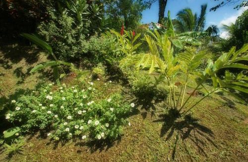 Tierras Morenas House | Casita Amapola